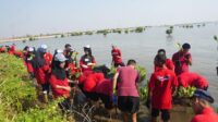 berita_20260717110444